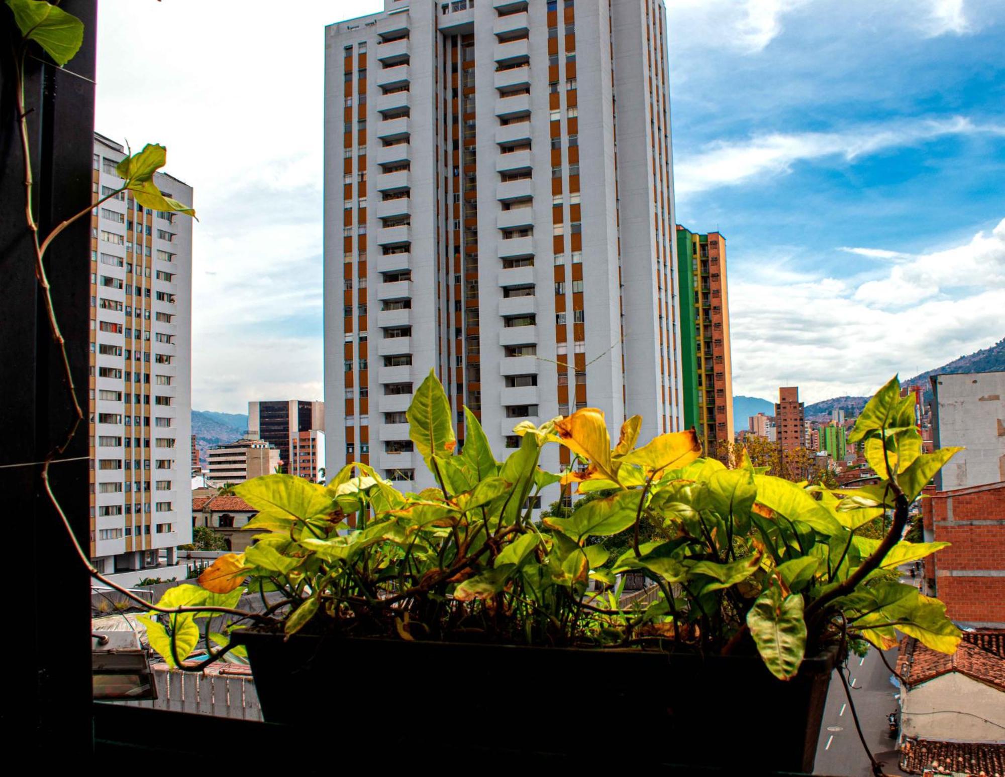 Hotel Medellin Arte Ngoại thất bức ảnh